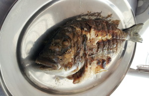 Grilled Sea Bream, Santorini