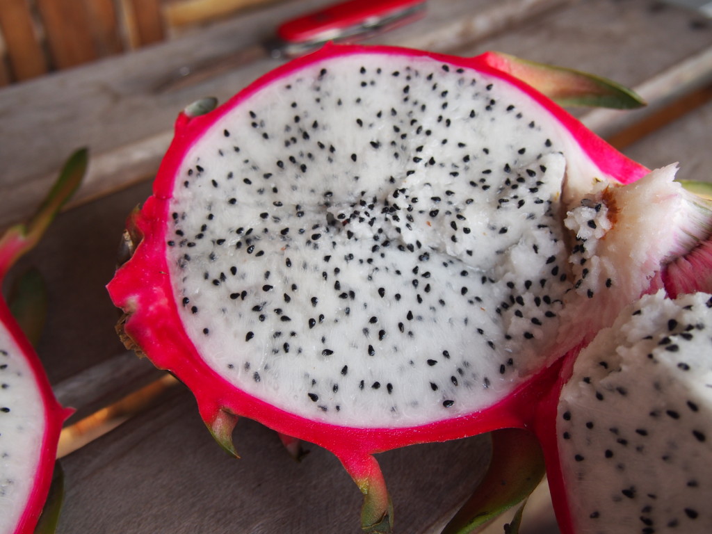 dragon fruit