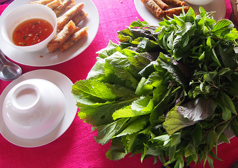 Fresh-herbs-and-spring-rolls