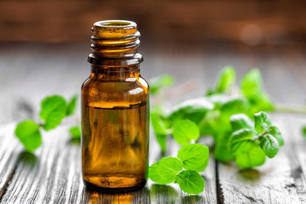Peppermint essential oil can help treat hives.